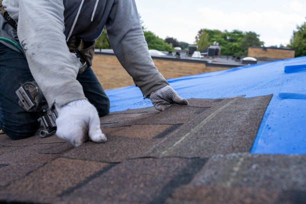 Best Commercial Roofing Services  in Macon, MS