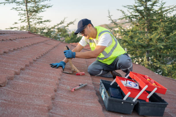 Best Residential Roofing Contractor  in Macon, MS